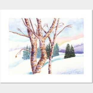 Winter Birches Posters and Art